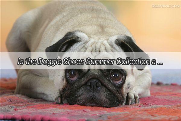 Is the Doggie Shoes Summer Collection a Summer Staple Find Out if Theyre a MustHave for Your Furry Friend